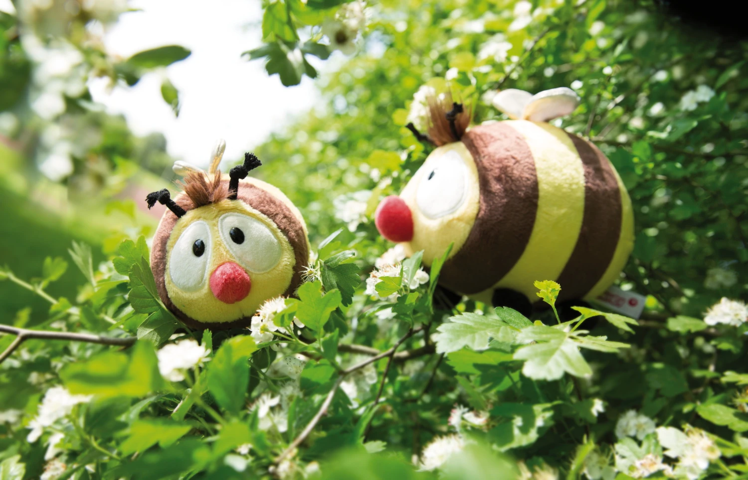 Nici 44480 Biene Classic Bear Bär Ca 12cm Plüsch Kuscheltier 6 Nici 44480 Biene Classic Bear Bär Ca 12cm Plüsch Kuscheltier – Bild 5