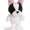 Nici 45101 Französische Bulldogge Ca 20cm Dog Friends Schlenker Plüsch -Spielzeug Discounter 45101 01 HA Frei 1638x2048